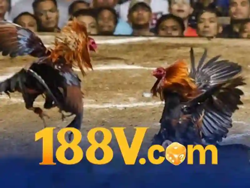 Các sảnh game đối tác uy tín hợp tác cùng nhà cái 188v