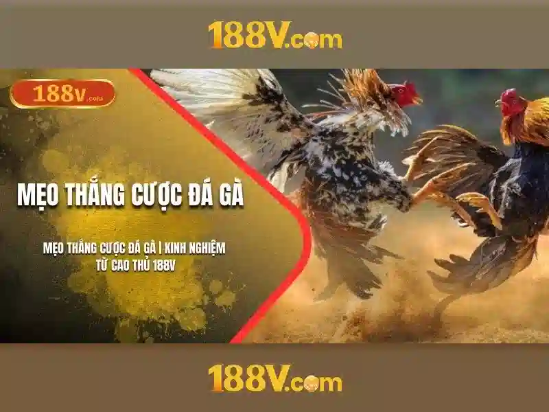 Định nghĩa và nguồn gốc