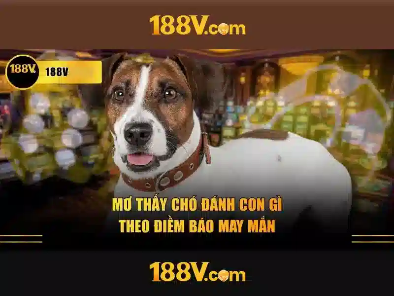 Khái niệm 188v Giao diện nhà cái hoàn hảo