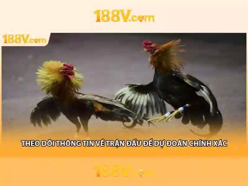 Giao diện nhà cái hoàn hảo