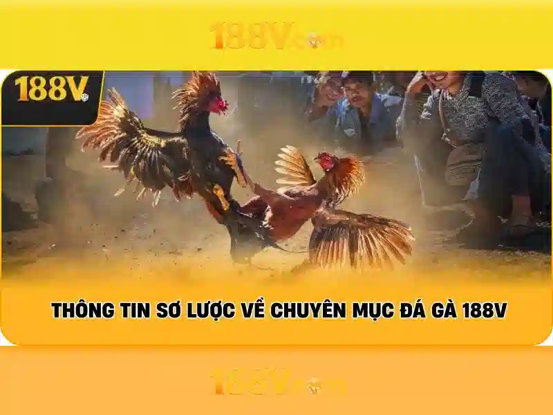 Khái niệm 188v\n<p><span style=