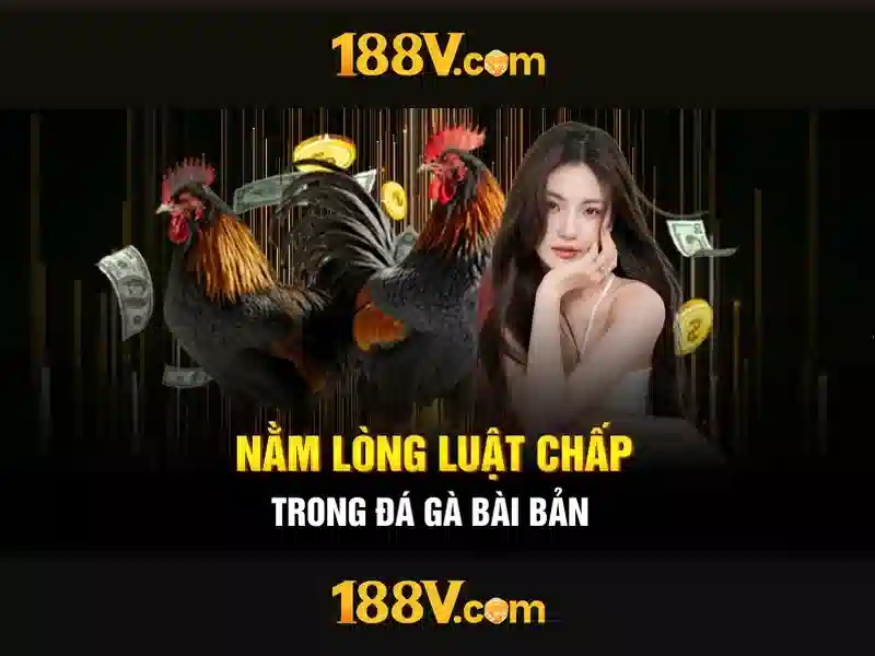 188v con – Tổng quan chủ đề và giá trị cốt lõi