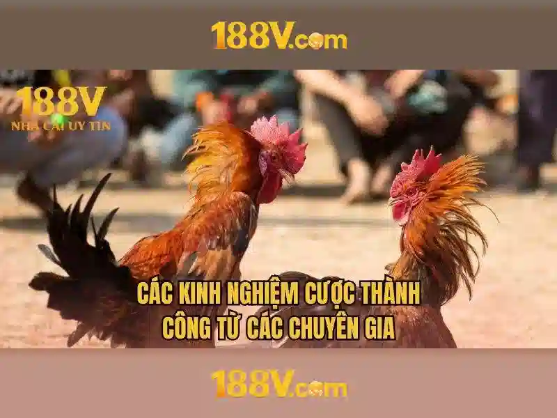 188v: Khái niệm cơ bản