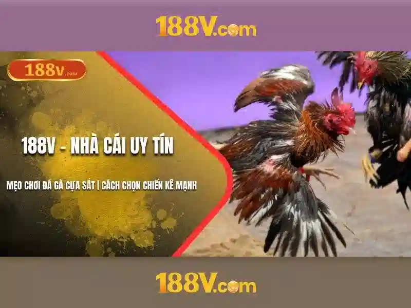 188v: một khái niệm giới hạn và mở rộng Giao diện nhà cái hoàn hảo