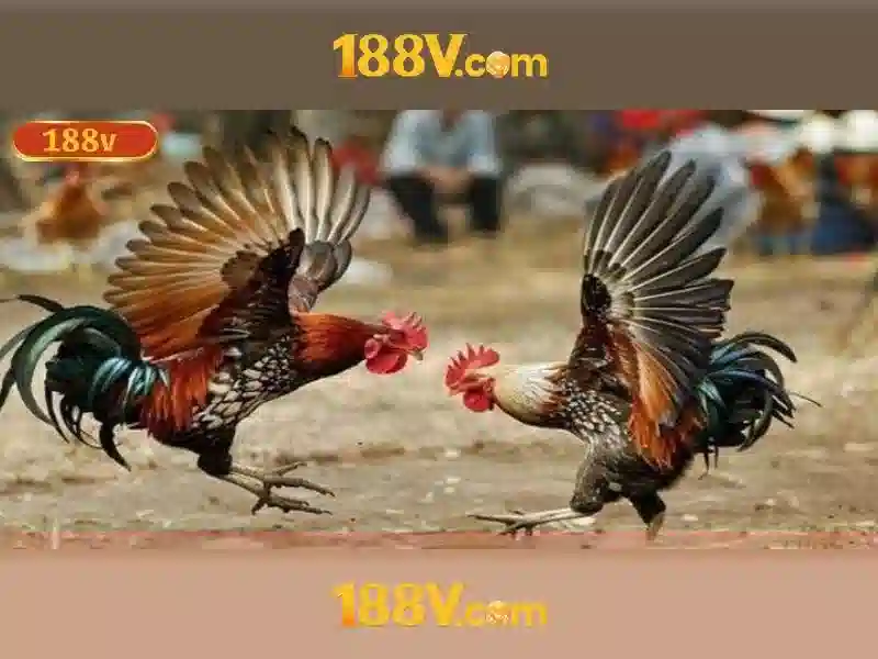 Khái niệm cơ bản về 188v