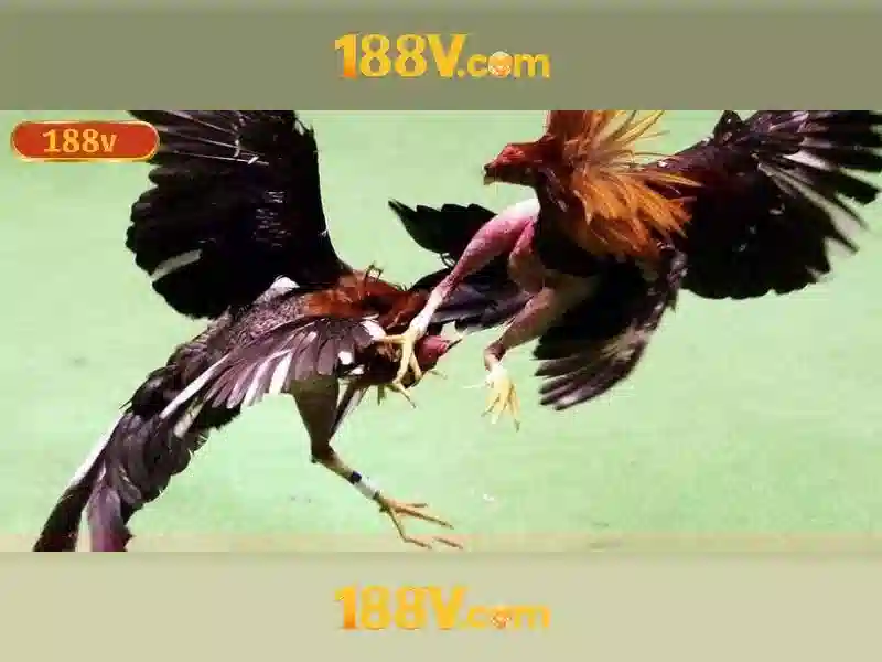 Điện áp 188v là gì và tại sao quan trọng
