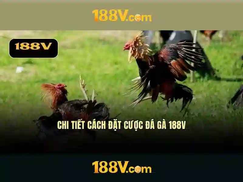 Khởi nguồn của 188v