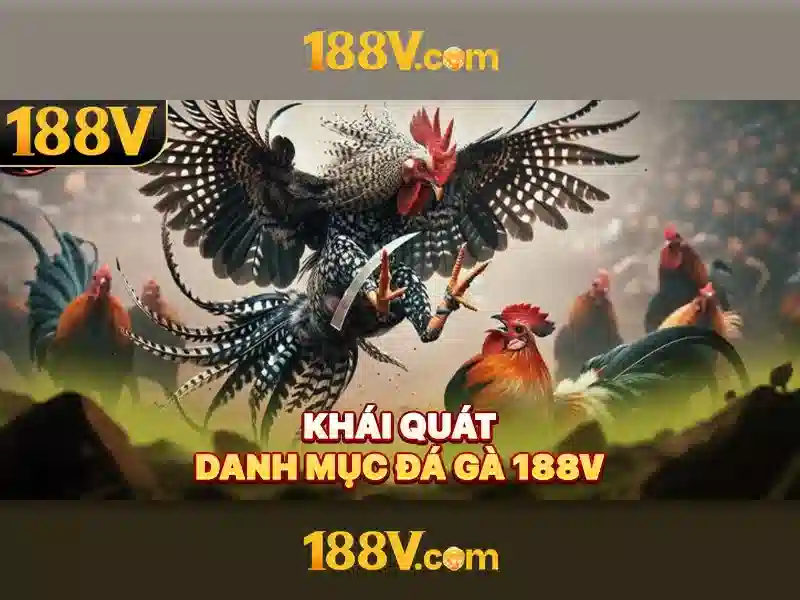 Ứng dụng và tiềm năng