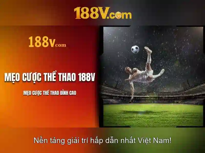 Kết luận và thực tế tại Việt Nam