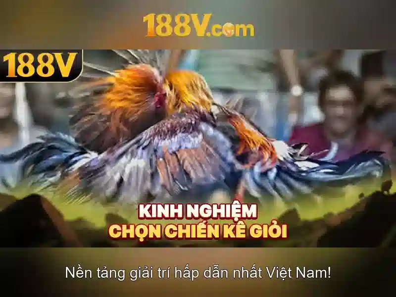 Khám phá 188v
