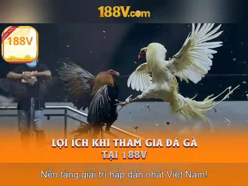 Những yếu tố cấu thành 188v
