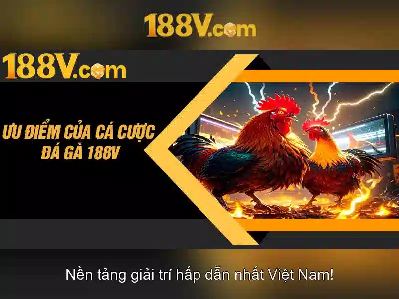 Kiến thức nền tảng về 188v