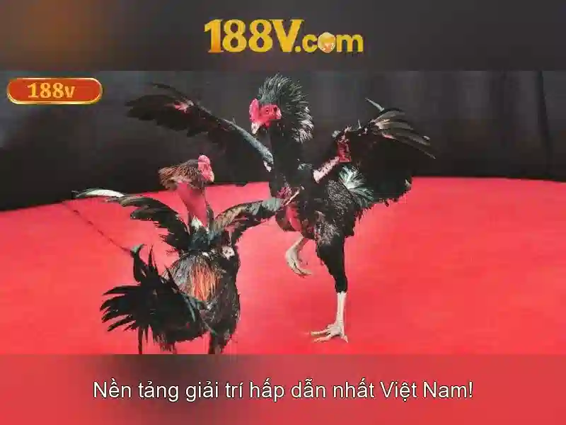 Chủ đề 188v và hành trình khám phá