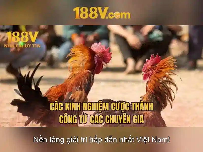 Khám phá 188v: hành trình sáng tạo và kết nối Giao diện nhà cái hoàn hảo