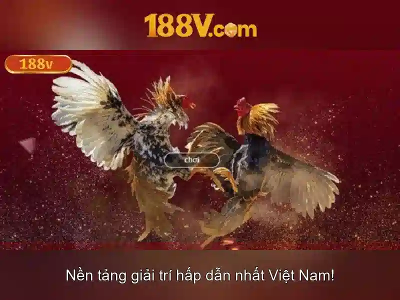 Ứng dụng và cách hiểu