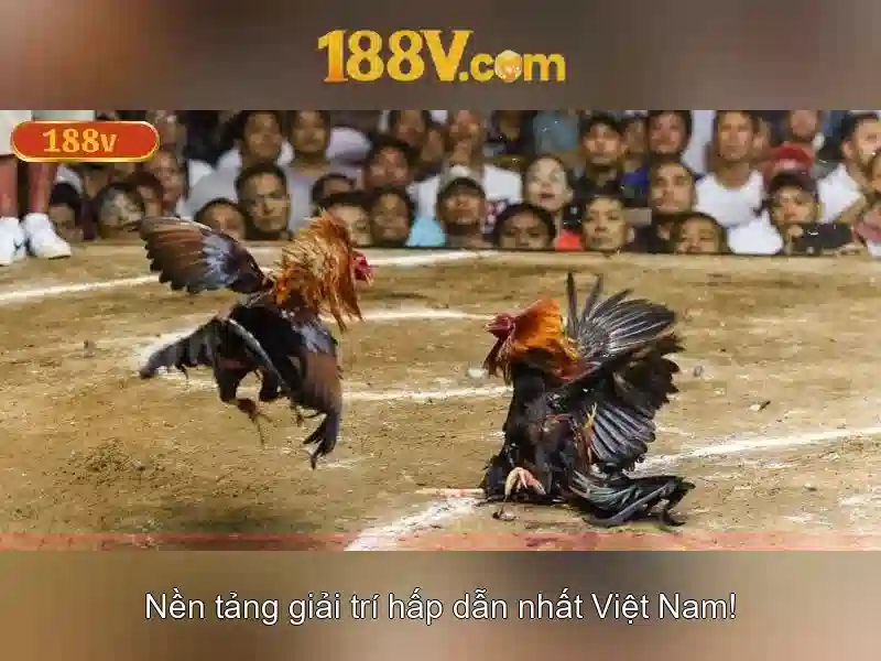 Kỳ vọng và thách thức còn lại của 188v