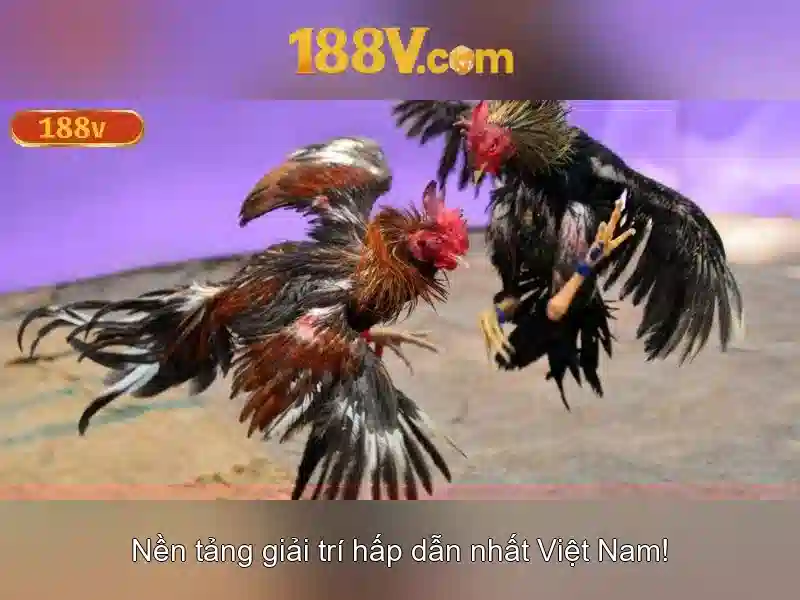 Kiểm soát và thay đổi trong thời đại số