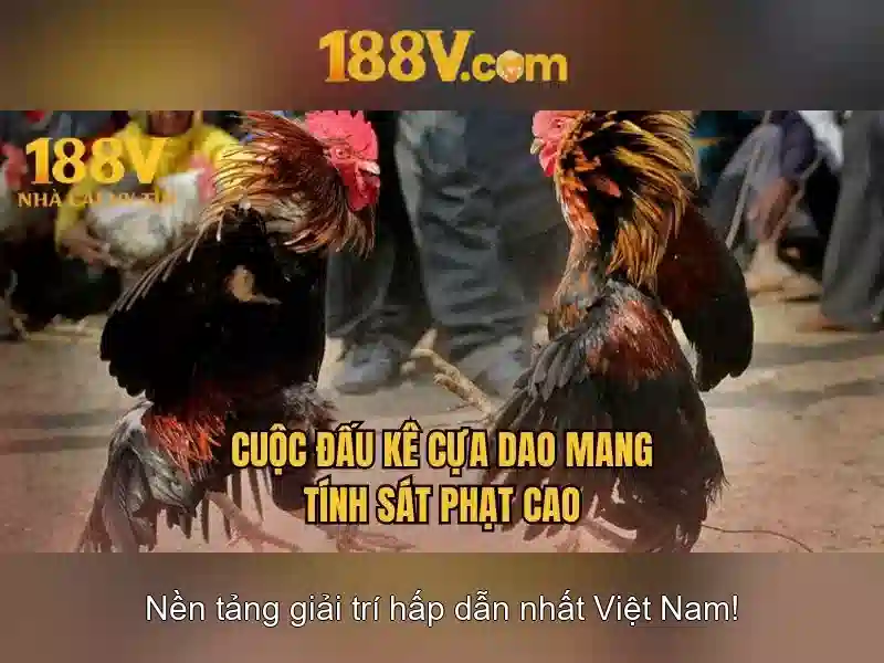 Giao diện nhà cái hoàn hảo