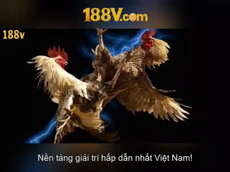 Những bóng tối và ánh sáng của 188v