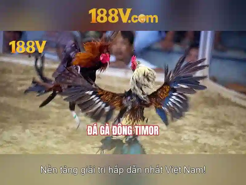 Giao diện nhà cái hoàn hảo