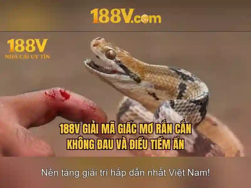 Giao diện nhà cái hoàn hảo