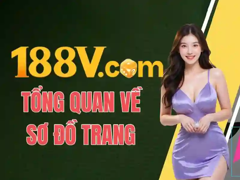 Hiện trạng và triển vọng