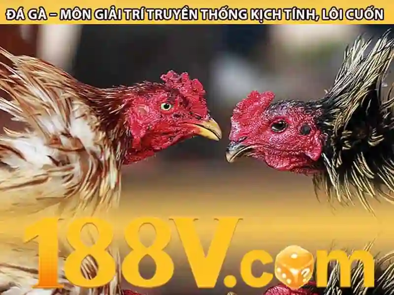 Nguồn gốc và sứ mệnh của ưu đãi 188v